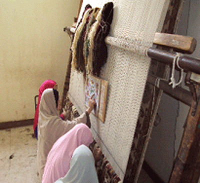 النيل الثقافية فى زيارة لأهم المعالم السياحية والآثرية بمحافظة بني سويف